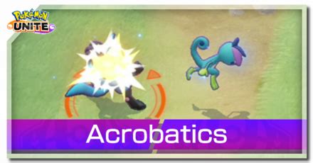 does acrobatics work with mega stones|Acrobatics Effect and Pokemon That Learn It .